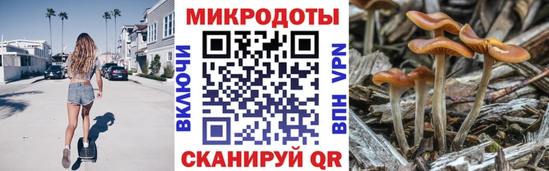 Псилоцибиновые грибы прущие грибы  Купить  Южно-Сухокумск 